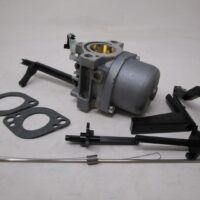 Briggs and Stratton 591378 Replaces 699966 796322 Snow Thrower Snow Blower Carburetor