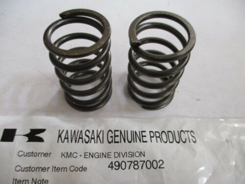 2 Genuine Kawasaki 49078-7002 Engine Valve Spring FH601D, FH601V, FH641V, FH680V - Image 3