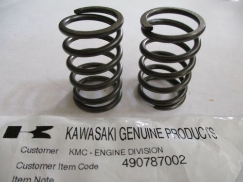 2 Genuine Kawasaki 49078-7002 Engine Valve Spring FH601D, FH601V, FH641V, FH680V - Image 2