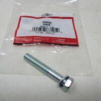 Genuine Briggs & Stratton 820022 Screw