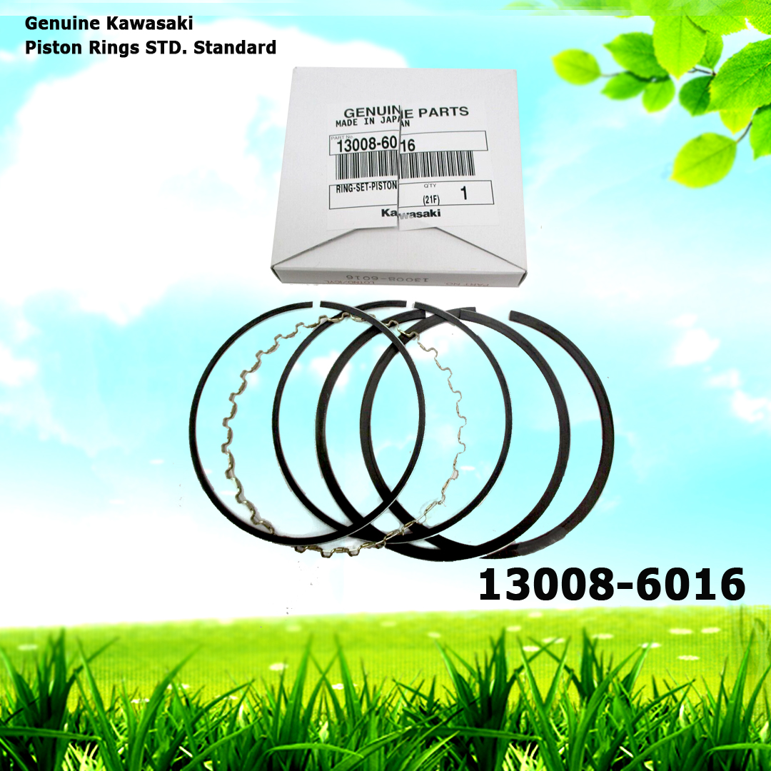 Genuine Kawasaki 13008-6016 Piston Rings STD | Red Rock Turf and Carts