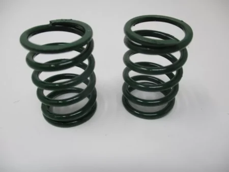 FJ400 Valve Springs