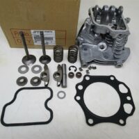 Genuine Kawasaki 11008-2121 Complete Cylinder Head w/ Valve Kit FE350D FE350