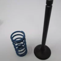 Genuine Kawasaki 12004-0746 Intake Valve 12004-0722 Spring 49078-7008 FX801V