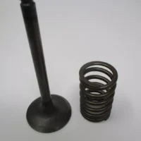 Genuine Kawasaki 12004-2120 Intake Valve & Spring 49078-2070 for FE350D FE400D
