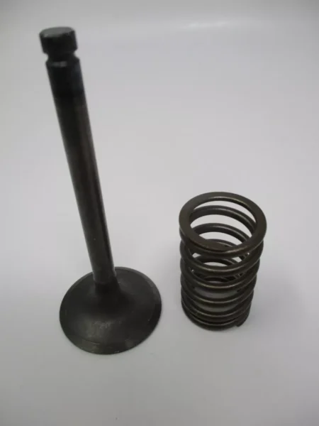 Genuine Kawasaki 12004-2120 & 49078-2070 Intake Valve & Spring 12004-2102 FE350D