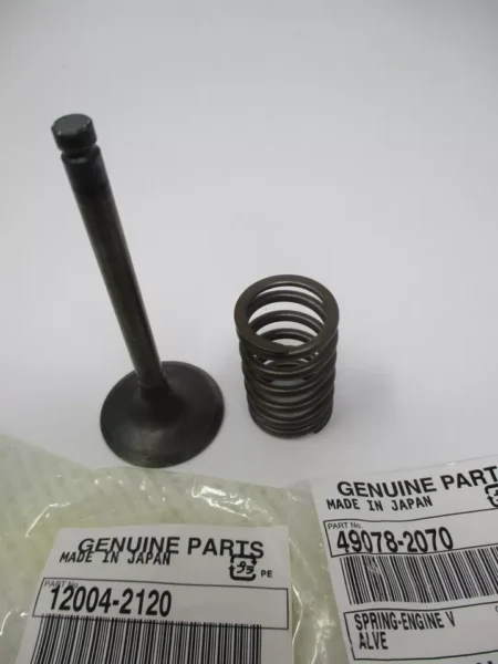 Genuine Kawasaki 12004-2120 & 49078-2070 Intake Valve & Spring 12004-2102 FE350D - Image 2