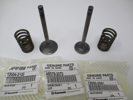 Genuine Kawasaki 12005-2091 & 12004-2120 Intake & Exhaust Valves & Spring FE350D - Image 2