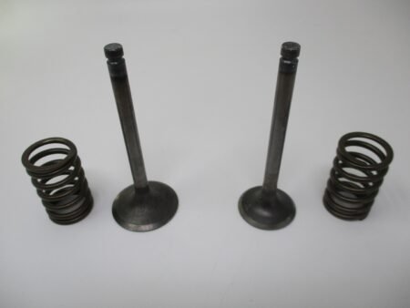 Genuine Kawasaki 12005-2091 & 12004-2120 Intake & Exhaust Valves & Spring FE350D - Image 4