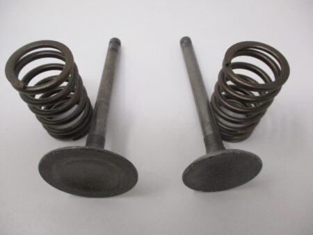 Genuine Kawasaki 12005-2091 & 12004-2120 Intake & Exhaust Valves & Spring FE350D