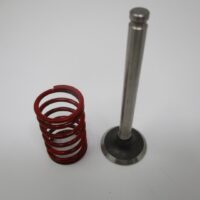 Genuine Kawasaki 12004-7001 Intake Valve & 49078-7001 Spring for FH451V FH500V