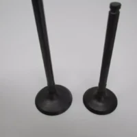 Genuine Kawasaki 12005-0777 Exhaust 12004-0733 Intake Valves