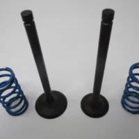 Genuine Kawasaki 12004-0746 Intake & 12005-0795 Exhaust Valve Spring 49078-7008 For FX751V, FX801V, FX850V