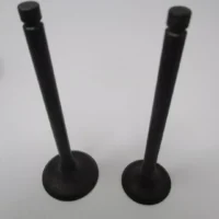 Genuine Kawasaki 12004-0746 Intake &12005-0795 Exhaust Valves FX751V FX801V