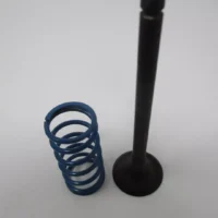 Genuine Kawasaki 12005-0795 Exhaust Valve & Spring 49078-7008 FX751V FX801V FX850V