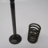 Genuine Kawasaki 12005-2091 & 49078-2070 Exhaust Valves & Spring for FE350D