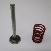 Genuine Kawasaki 12005-7001 Exhaust Valve & 49078-7001 Spring for FH451V FH500V