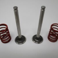 Genuine Kawasaki 12005-7001 Exhaust & 12004-7001 Intake Valves plus 2 49078-7001 Springs FH451V FH500V