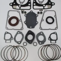 Genuine Kawasaki FR691V FS691V FT730V FS Engine Rebuild Cylinders Piston Rings