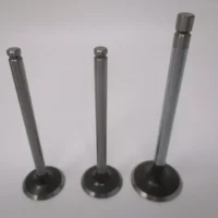 2 Genuine Kawasaki 12004-7006 Intake 1, 12005-0714 Exhaust Valve