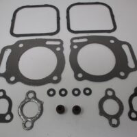 Genuine Briggs & Stratton 842723 Valve Kit 294442 Model 351447 305776 305447