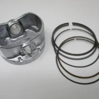 Genuine Kawasaki 13001-6004 Piston & Ring Set (STD)