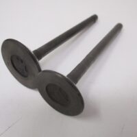 Genuine Briggs & Stratton 820403 & 820404 Daihatsu DM950D Intake Exhaust Valves Diesel